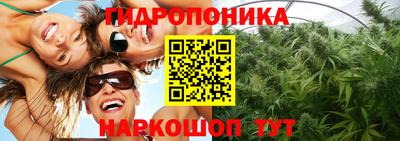 МДМА Новозыбков