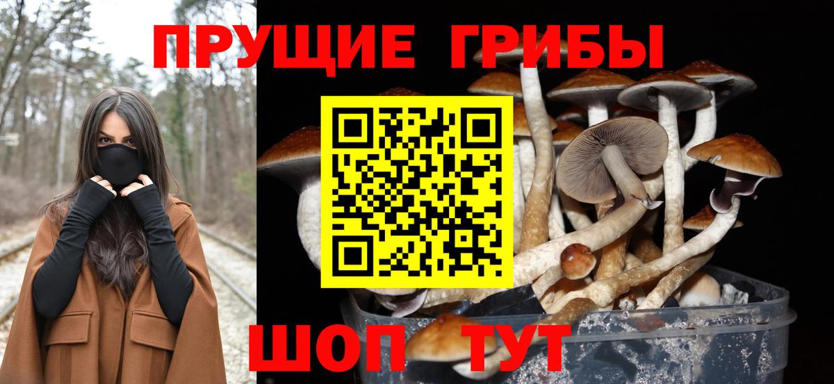 Галлюциногенные грибы Psilocybine cubensis  Вход с VPN  Ставрополь 