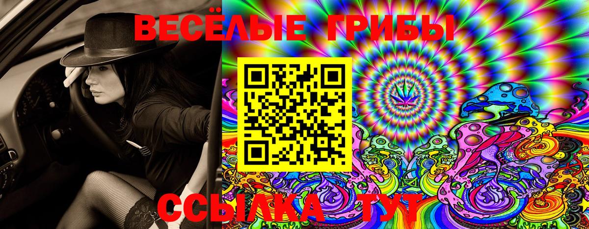 Псилоцибиновые грибы GOLDEN TEACHER Ставрополь